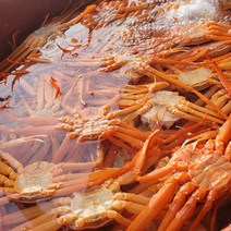 동해안 구륭포 B급 자숙연지홍게 3KG 10-13미 (수율 40~60%), 1개