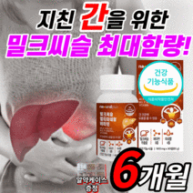 프리미엄 밀크씨슬 실리마린 고함량 멀티 비타민 미네랄 B 비 아연 간 건강 도움 피곤할때 먹는 피로 여자 남자 이뮨 리버 밀크 미크 밀키 씨슬 시슬 슬리 실리 마린 미린 정 사은품, 6개월 분(하루 317원), 90정