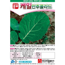 (케일종자씨앗) 만추콜라드( 100g) S0089
