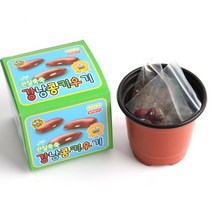 2000 강낭콩 관찰쑥쑥 식물 키우기 키트 세트 화분 씨앗 식목일 어린이집 단체 - 2개