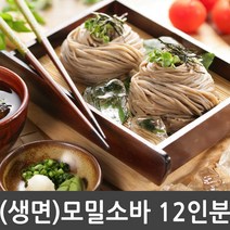 생면 모밀소바 12인분세트 / 전문점맛 그대로 (생메밀국수1kg 2개 + 모밀소스50g 12개), 1세트