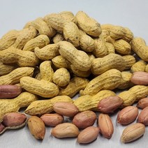 100% 국내산 생 땅콩 색채선별 안전 땅콩 품질관리 땅콩, 2-1. 국산 생땅콩 500g