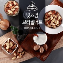 [넛츠팜] 브라질너트 200g, 상세 설명 참조, 상세 설명 참조