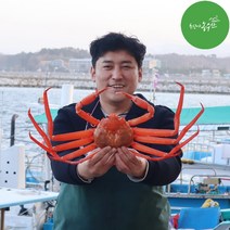 최고다농수산 홍게 산지직송 1kg 3kg 손질홍게 박달홍게 홍게도시락 자숙비용 무료, 박달 활홍게 3kg내외 (자숙)