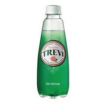 칠성 스파클링 탄산 제로 트레비 5종 자몽 에이드 무설탕 음료 300ml 20개, 2세트