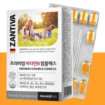 고농축 비타민B 콤플렉스 복합체 B1 12 B2 B3 비타민 B12 B6 B군 비타민비 영양제 B7 컴플렉스 비투 6912