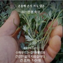 참쑥차 여성에게 딱 좋은 수재 전통 덖음차 45g