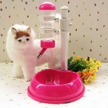 강아지산책물통 애완 동물 고양이 개 물 술꾼 디스펜서 음식 스탠드 햄스터 피더 접시 그릇 병 자동 분수 4 색강아지 먹이, 없음, Rose red+M