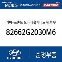 커버-프론트 도어 아웃사이드 핸들 우측 (82662G2030M6T) 아이오닉 전기차 19
