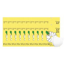 플로라 소형 100매(5매입 포장) / 키리아새부리황사방역마스크(KF-94)(소형), 화이트, 20개, 5매입