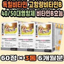 비타민B추천 수험생비타민 독일영양제 활성형비타민B 비타민비효능 40대영양제 독일비타민 고함량비타민B 대용량 만성피로영양제 비타민B추천 나이아신 비타민B군 피로회복비타민