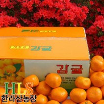 한라산농장 노지 조생 감귤 10KG 15KG 홍보용 특가- 불만족시 무료반품 -, 귤 10KG 중대과(L~2L)불만족시 무료반품, 귤