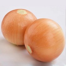 맛있는양파 3kg 강원도햇양파 국내산양파, 하