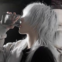 남성가발 장발가발 울프컷 스타일 패션가발 군인가발, 단일사이즈, C ONE SISE