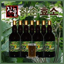 장녹원 칡순효소 1100ml, 2개