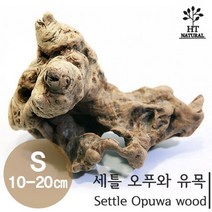 세틀 오푸와 유목 (10~20cm)