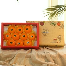 지장샘농장 제주 산지직송 천혜향 가정용 선물세트 2kg 3kg 5kg, 1box, 천혜향 선물세트 2kg+2kg+2kg