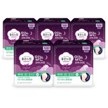 좋은느낌 입는 오버나이트 소형 8매X5팩 총40P 생리대