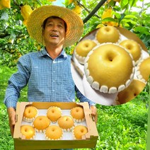 [당도-선별] 산지-직송 현대식품관입점 선물용 배 3kg 5kg, 2)[햇배의 최고봉] 화산배, 1)[10시 이전 주문시] 당일발송