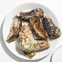 삼삼 거제도 석화(각굴)5kg, 단품