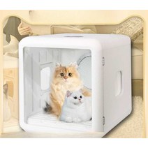 강아지털말리는기계 펫드라이룸 고양이 강아지 목욕, 강풍 상단 버전