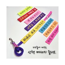 (초코송이네 커스텀)강아지 산책 메세지 슬리브, 17