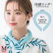 시원한 쿨매트 패드 침대용 방석 냉감 쿨 여름 매쉬매트 에어매쉬 매트 베개커버 아이스, 블루 M 사이즈 여성용