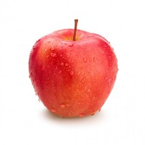 바로먹는 세척 꿀 사과 부사 가정용 중대과 5kg 13ㅡ15과, 상세페이지 참조