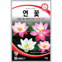꽃 씨앗 연꽃 관상용 약용으로 쓰이는 다년생 수초