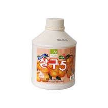 차그림 프리미엄 살구5 850ml 과채음료 농축액, 1개