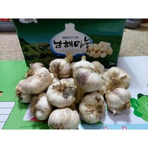 남해마늘 남해햇마늘, 1box, 5kg 중 (120~130개)
