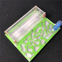 150mmx110mm 시험관 수분 큰 공간 개미 둥지 개미 농장 아크릴 곤충 개미 빌라 집 개미 생태 워크샵, 협력사, 초록