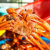 자연맛남 [자연맛남] 속초 붉은대게 자숙 홍게 3kg 9-12미(일반), 05.홍게 3kg 9-12미(일반)