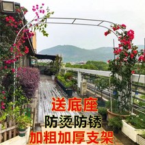 대문아치 가든 아치 게이트 대문 포도나무 터널 펜스, 중간, 화이트 3.45mx2.2m(폭x높이)