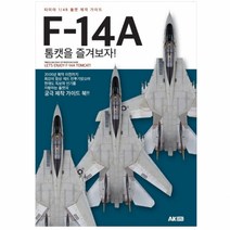 AK412487 타미야 1/48 톰캣 제작 가이드