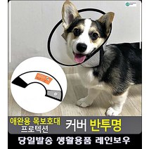 수술후 보호 애완용 반투명 넥카라 생활용품 강아지고깔모자 펫용품 리빙소품 개용품
