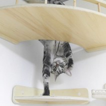고양이 벽 구석탱이 캣워커 2단, 안전 울타리 추가, 석고보드 벽 8개, 파스텔 핑크