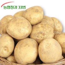 농협 [농협청과33번] 감자 10kg (대)-가정실속형/쩌먹기 좋은크기, 10kg(대), 1개