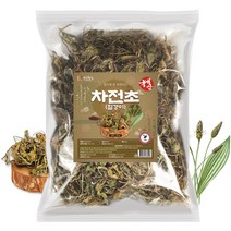 국산 차전초 질경이 차 200g, 1개입