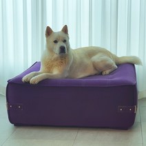 대형견쇼파 강아지 고양이 반려견 애완동물 펫 소파 침대 거실인테리어 국내생산 자체제작 가구 펫쇼파, 10-에쉬그레이