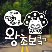시둥마켓_자동차문구스티커 초보운전 차량 안전 야간 익스테리어용품 차량용 외부