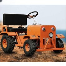 4인용 카트 다인승 버스 전기차 운반차 놀이동산 기차, free, 2인850W60V20A(주문후컬러선택)