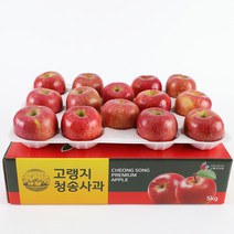 청송사과 정품 사과 5kg (크기별 선택) 부사 사과 고랭지사과, 정품 중과 5kg(16-18과)