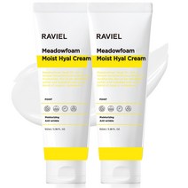 라비엘 메도우폼 모이스트 히알 수분크림, 2개, 100ml