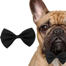 강아지보타이 강아지 케이프 고양이 리본 넥타이 애견 타이, 그레이