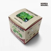 [오름새음상회]강낭콩 키우기세트 베란다 텃밭 홈가드닝 식물 기르기, 상세페이지 참조