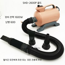 강아지 펫 샵 카페 애견 동물 송풍기 헤어 털 드라이 어 기 특 대 형 견 고성능 창업 무인 목욕 샤워 장, 골드 2600P