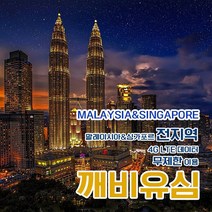 깨비유심 깨비유심 V-tech 말레이시아/싱가포르 4G LTE 무제한 (3050263), 김해공항 수령, 말레이시아/싱가포르 4G LTE 무제한 1일 당