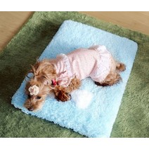 (아페토) 사각 쿨매트