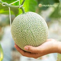 국내산 멜론 고당도 머스크 메론 특등급, 4kg/3수/1수당 1.3kg내외